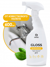 Чистящее средство "Gloss" Professional (флакон 600 мл)